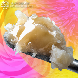 Ice Kream Hash Co. | Super Boof | Live Rosin | [1g]