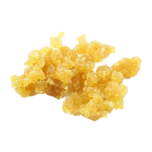 TRUE ORGANICS | Gastropop